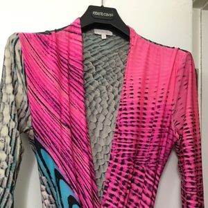 Vintage Roberto Cavalli Art Collection dress